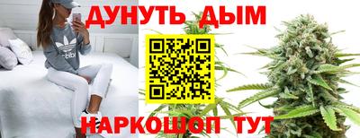 гашиш Кингисепп