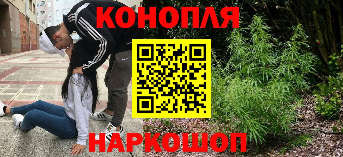 Каннабис сатива Корсаков